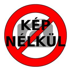 Kép nélküli hirdetés